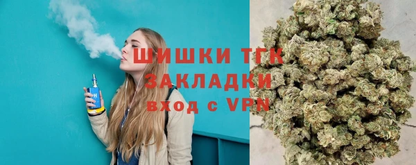 ПСИЛОЦИБИНОВЫЕ ГРИБЫ Алексеевка