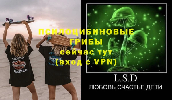ПСИЛОЦИБИНОВЫЕ ГРИБЫ Алексеевка