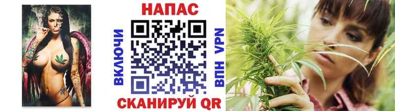 наркота  Бодайбо  МАРИХУАНА планчик 